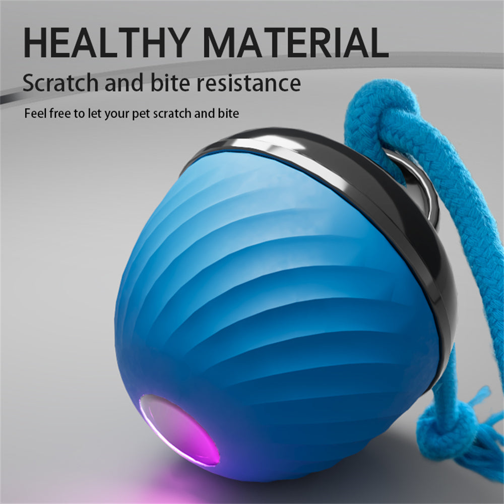 Pet Ball for Dogs Interactive Toys Motion Activate Rolling Ball for Puppy/Small Dogs Automatic Moving Toy USB Rechargeable Toy