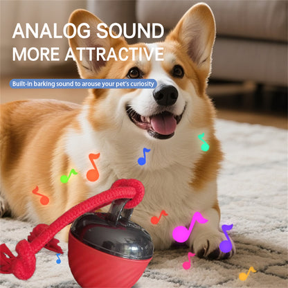 Pet Ball for Dogs Interactive Toys Motion Activate Rolling Ball for Puppy/Small Dogs Automatic Moving Toy USB Rechargeable Toy