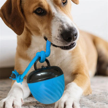 Pet Ball for Dogs Interactive Toys Motion Activate Rolling Ball for Puppy/Small Dogs Automatic Moving Toy USB Rechargeable Toy