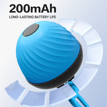 Pet Ball for Dogs Interactive Toys Motion Activate Rolling Ball for Puppy/Small Dogs Automatic Moving Toy USB Rechargeable Toy