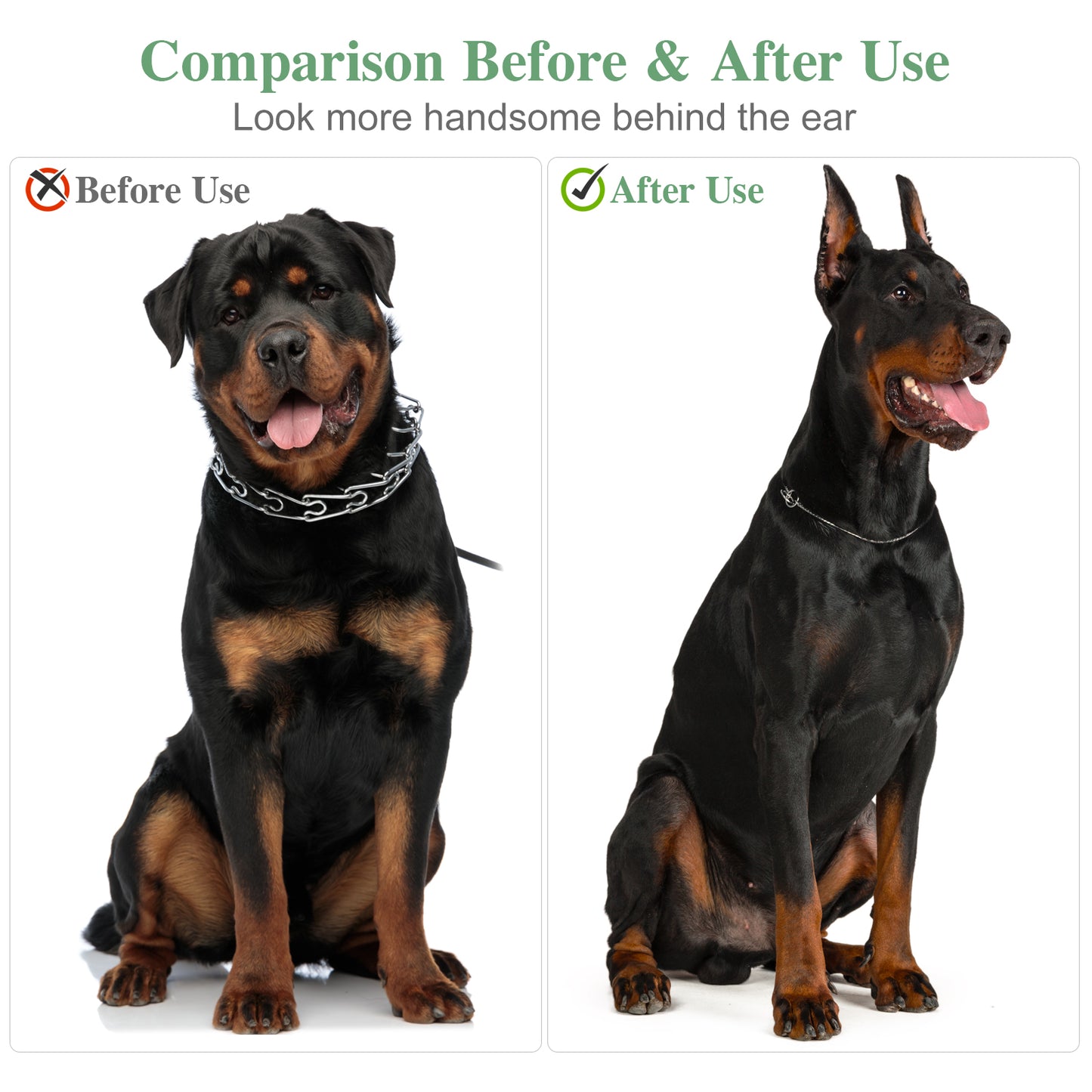 Dog Ears Stand Doberman Ear Stand Up Support Tool Assist Durable Adjustable Dogs Ear Standing Dog Supplies Accessories