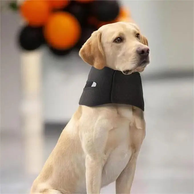the CALMCOVER RECOVERY COLLAR - New Dog Support Collar, Anti-Licking Sprained Neck/Head Cover, Pet Neck Support, Small/Medium/Large Adjustable Universal