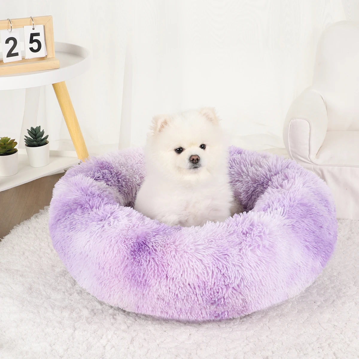 Plush Dog Bed Large Beds for Dogs Washable Medium Small Basket Accessorys Pet Furniture Fluffy Sofa Puppy Kennel Accessories Mat