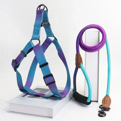 the COLORSPLASH WALK SET - A Set of Colorful Pet Harness with Leash and Dog Leash for Indoor and Outdoor Use
