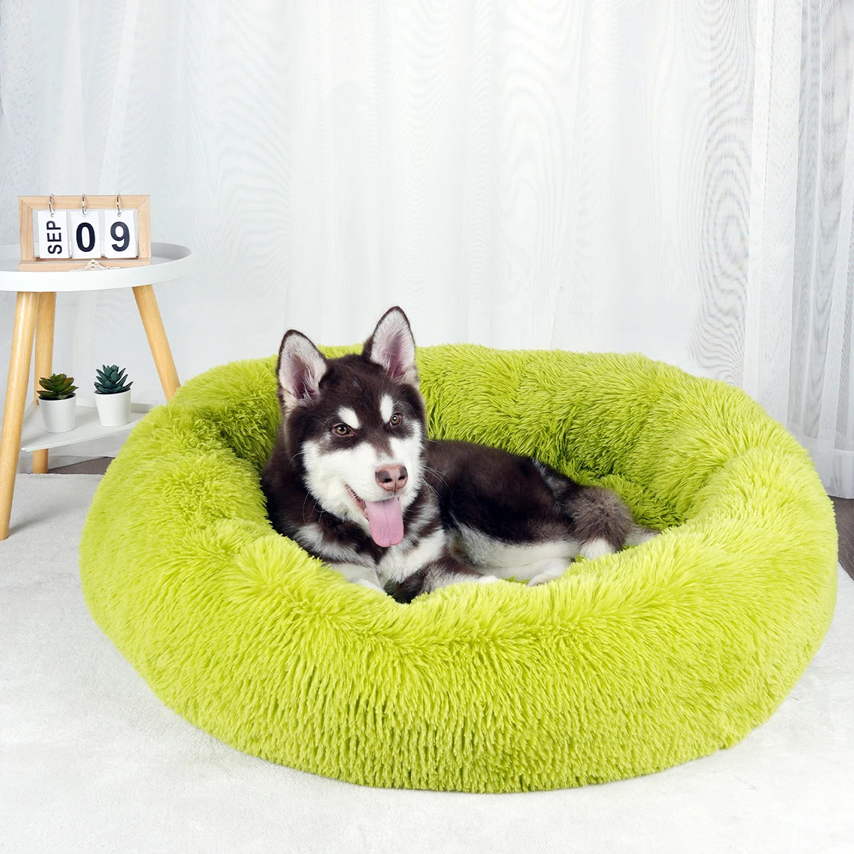 Plush Dog Bed Large Beds for Dogs Washable Medium Small Basket Accessorys Pet Furniture Fluffy Sofa Puppy Kennel Accessories Mat