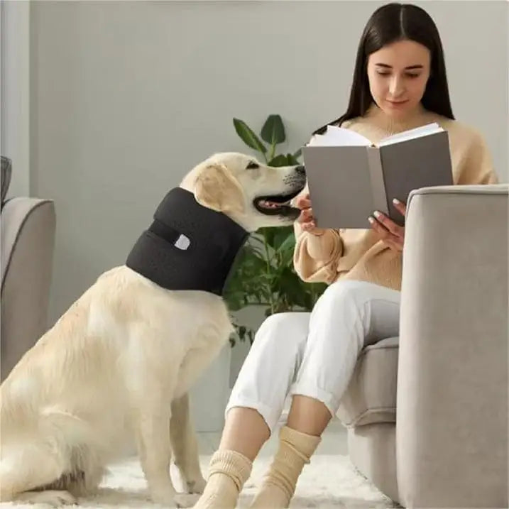 the CALMCOVER RECOVERY COLLAR - New Dog Support Collar, Anti-Licking Sprained Neck/Head Cover, Pet Neck Support, Small/Medium/Large Adjustable Universal