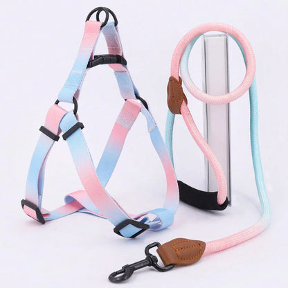 the COLORSPLASH WALK SET - A Set of Colorful Pet Harness with Leash and Dog Leash for Indoor and Outdoor Use