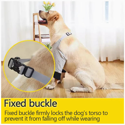 the JOINTGUARD PROTECTORS - Pet Knee Pads, Dog Elbow Protection Clothes, Golden Retriever/Labrador Front Leg Joint Protector, Keeps Dirt and Dust Away