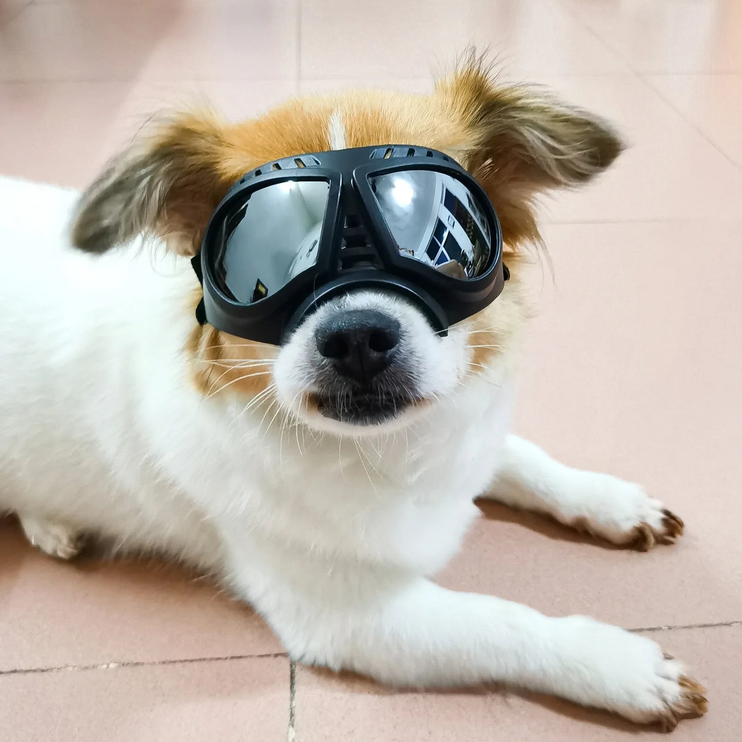 Cool Dog Sun Glasses UV Protection Windproof Goggles Pet Eye Wear Dog Swimming Skating Glasses Pet Accessories