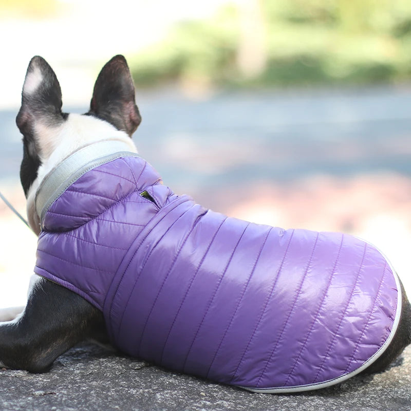 Winter Reversible Dog Light Down Jacket for Small Medium Dogs Pets Clothes Waterproof  French Bulldog Coat Mascotas abrigo perro
