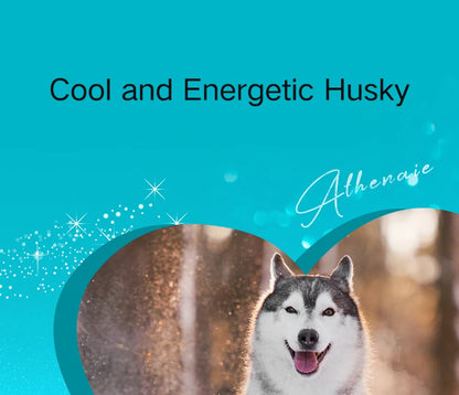 ATHENAIE 925 Sterling Silver Corgi Pet Charms Mixed CZ Yellow Cute Akita Puppy Dog Animal Charms Beads for Bracelet Jewerly