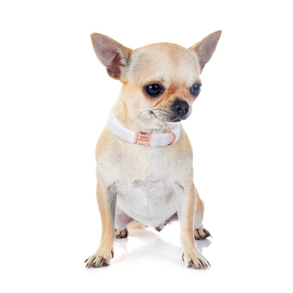 the PERSONALIZED PAW PLUSH COLLAR - Soft Personalized Dog Collar, Winter Warm Fur Customized Pet ID Tag Collars for Small/Medium/Large Dogs, French Bulldog, Chihuahua