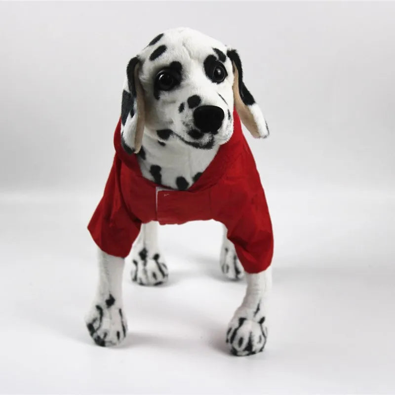 the NEON DOGGY - S-XL Creativity Pets Clothes, Hooded Raincoats Reflective Strip Dogs Raincoats, Waterproof Outdoor Breathable Net Yarn Jackets