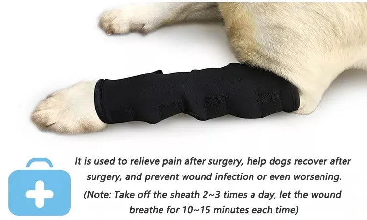 the PAWFLEX INJURY BRACE - Pet Dog Bandages, Dog Injury Leg/Knee Brace, Strap Protection for Dogs Joint, Bandage Wrap, Doggy Medical Supplies, Dogs Accessories