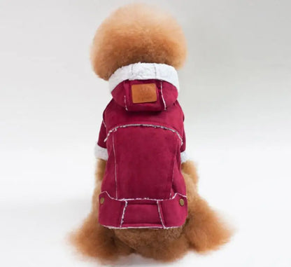 Pet Dog Jacket New Style Pet Jacket Cute Dog Winter Coat The Most Popular Dog Clothing 5 Size And 3 Color Supply