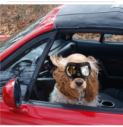 Cool Dog Sun Glasses UV Protection Windproof Goggles Pet Eye Wear Dog Swimming Skating Glasses Pet Accessories