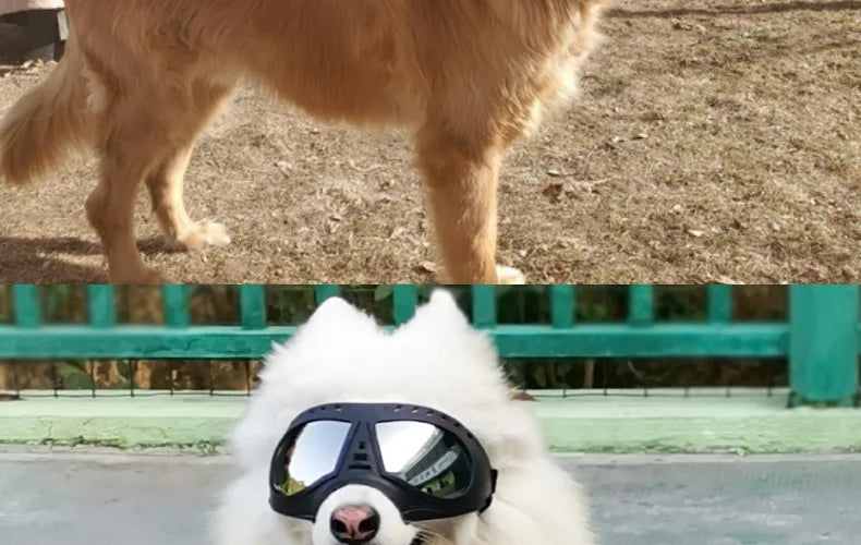Cool Dog Sun Glasses UV Protection Windproof Goggles Pet Eye Wear Dog Swimming Skating Glasses Pet Accessories
