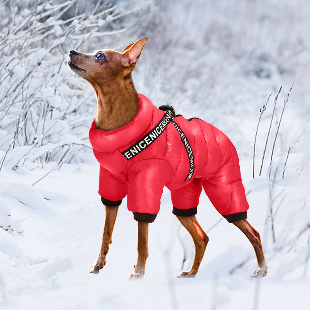 the SKI DAWG - Winter Dog Clothes, Super Warm Pet Dog Jacket/Coat with Harness, Waterproof Puppy Clothing, Hoodies for Small/Medium Dogs Outfit