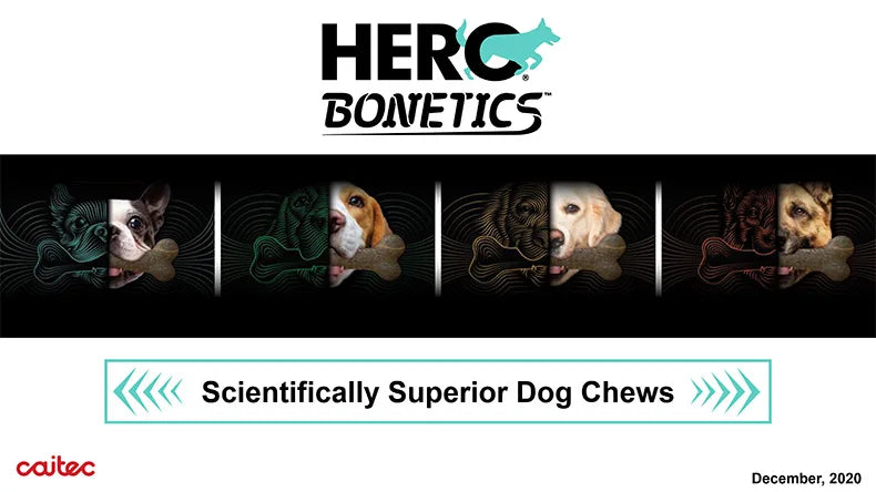 the CHEWY - Caitec Dog Toys, Chewing Bone Toys, Durable Bite Resistant, Great for Tossing and Chasing, Suitable for Small to Large Dogs