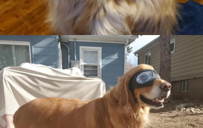 Cool Dog Sun Glasses UV Protection Windproof Goggles Pet Eye Wear Dog Swimming Skating Glasses Pet Accessories