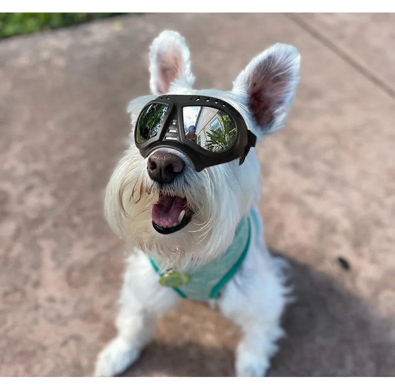 Cool Dog Sun Glasses UV Protection Windproof Goggles Pet Eye Wear Dog Swimming Skating Glasses Pet Accessories