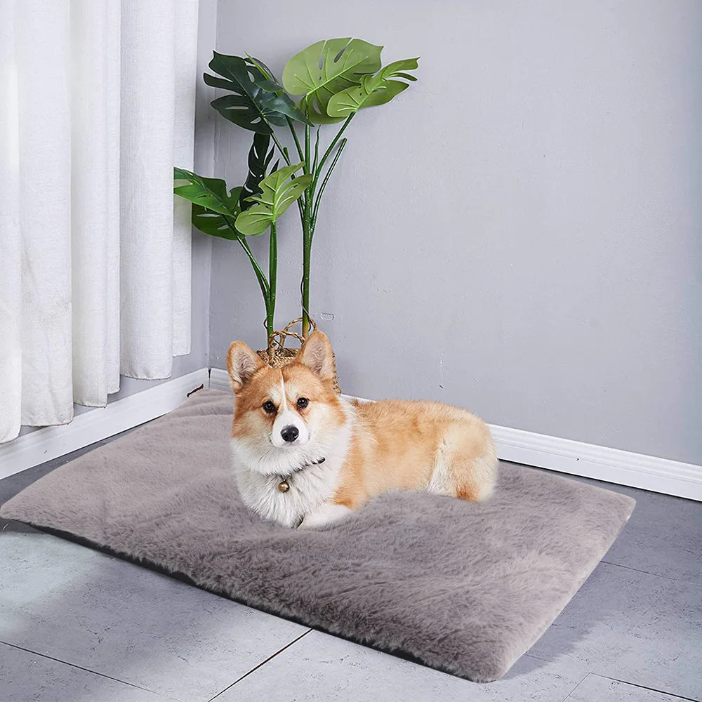 Thick Winter Dog Bed Mat Warm Pet Cat Sleeping Mats Cushion Soft Kennel Cushions for Small Medium Large Dogs Cats