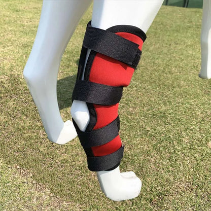 the PAWFLEX INJURY BRACE - Pet Dog Bandages, Dog Injury Leg/Knee Brace, Strap Protection for Dogs Joint, Bandage Wrap, Doggy Medical Supplies, Dogs Accessories