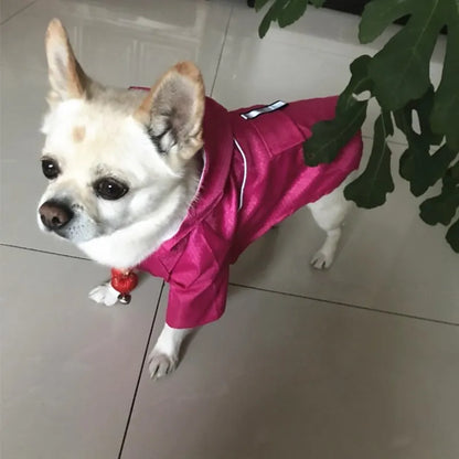 the NEON DOGGY - S-XL Creativity Pets Clothes, Hooded Raincoats Reflective Strip Dogs Raincoats, Waterproof Outdoor Breathable Net Yarn Jackets