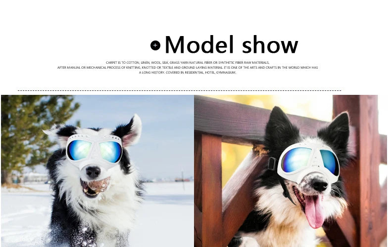 Cool Dog Sun Glasses UV Protection Windproof Goggles Pet Eye Wear Dog Swimming Skating Glasses Pet Accessories