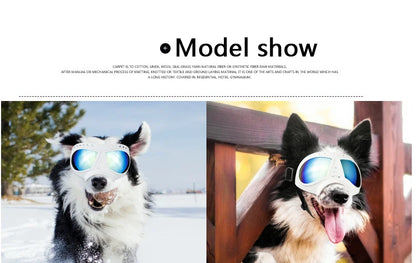 Cool Dog Sun Glasses UV Protection Windproof Goggles Pet Eye Wear Dog Swimming Skating Glasses Pet Accessories
