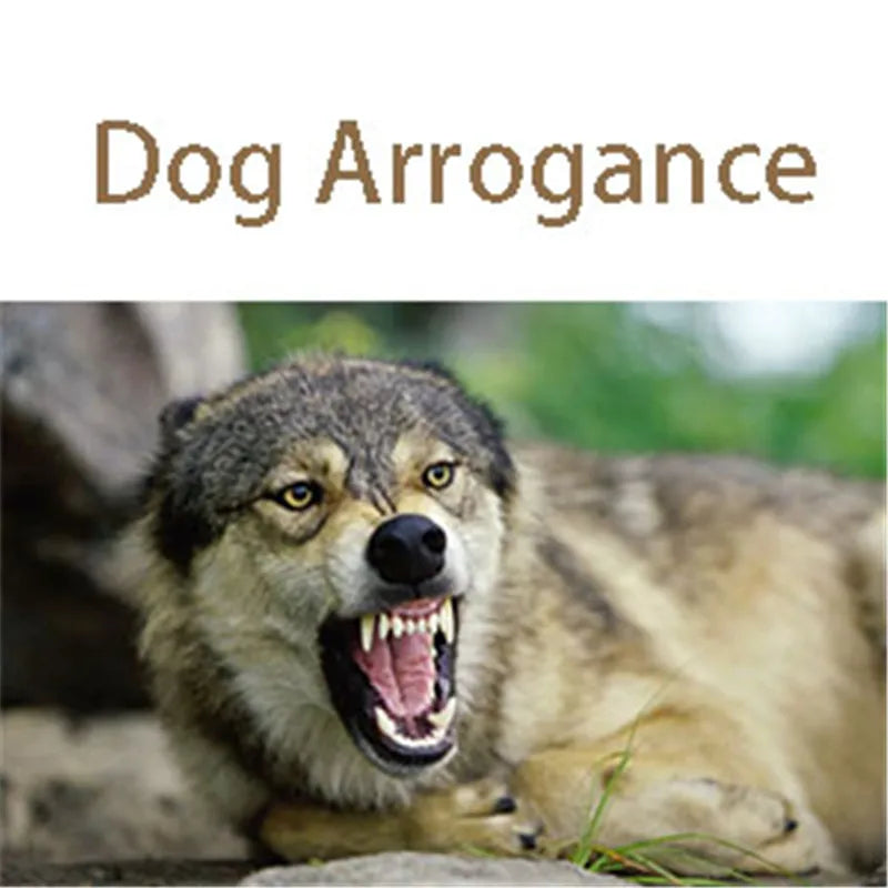 Dog Calming Cap Eye Mask Nylon Shading Pet Anxiety Mask Muzzle Dog Blindfold for Grooming Anti Car Sickness 23 JulyO2