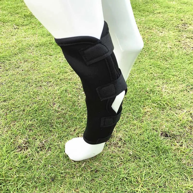 the PAWFLEX INJURY BRACE - Pet Dog Bandages, Dog Injury Leg/Knee Brace, Strap Protection for Dogs Joint, Bandage Wrap, Doggy Medical Supplies, Dogs Accessories