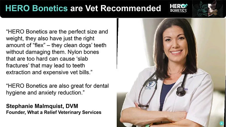 the CHEWY - Caitec Dog Toys, Chewing Bone Toys, Durable Bite Resistant, Great for Tossing and Chasing, Suitable for Small to Large Dogs