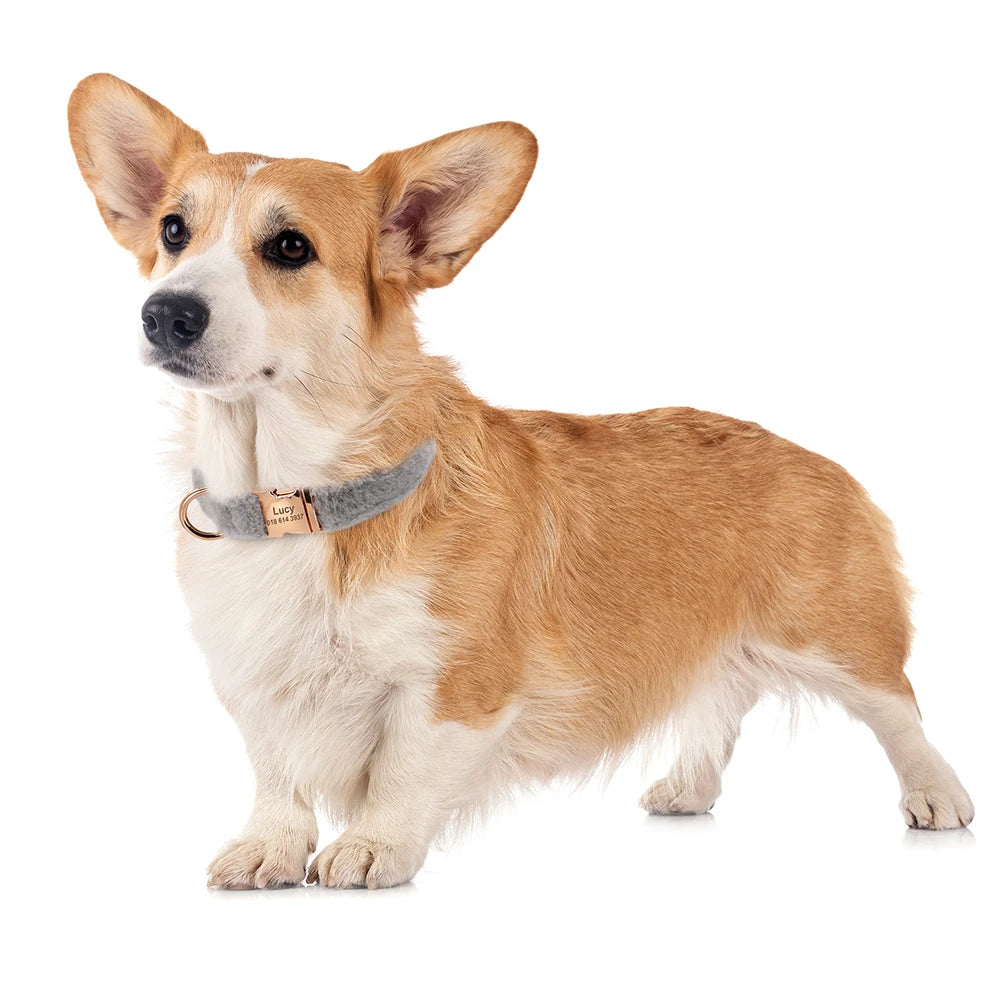 the PERSONALIZED PAW PLUSH COLLAR - Soft Personalized Dog Collar, Winter Warm Fur Customized Pet ID Tag Collars for Small/Medium/Large Dogs, French Bulldog, Chihuahua