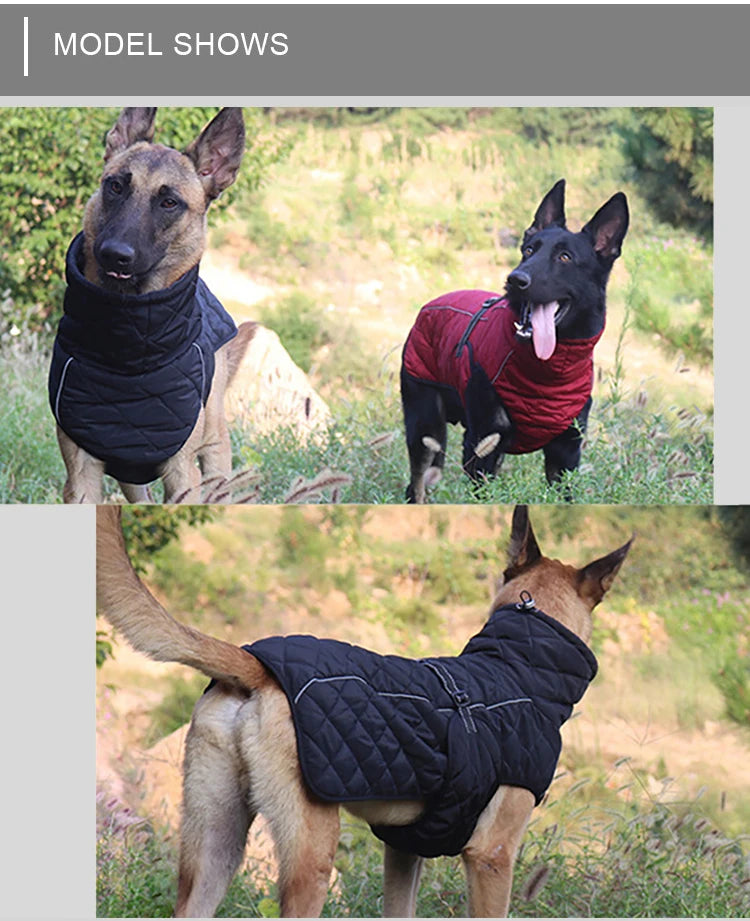 the ROVER RANGER JACKET - Dog Outdoor Jacket, Waterproof Reflective Pet Coat Vest, Winter Warm Cotton Dogs Clothing for Large/Middle Dogs, Labrador