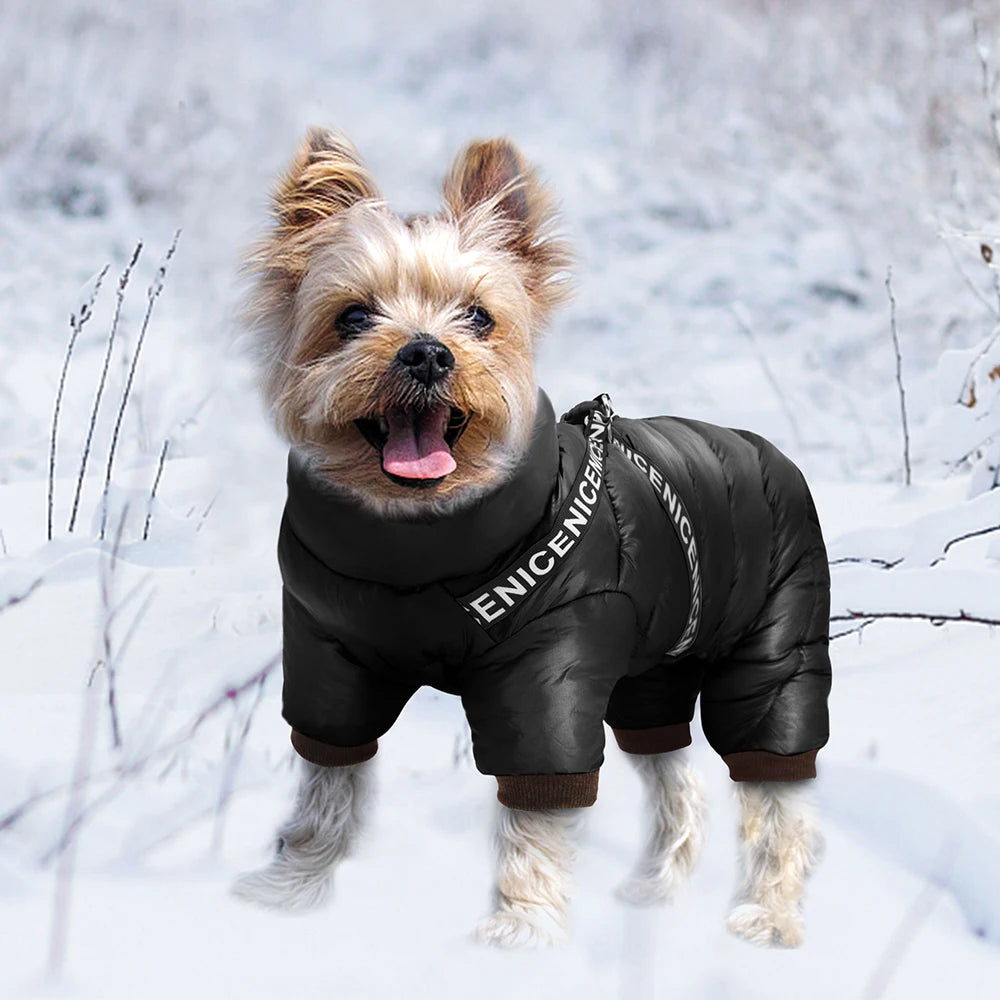 the SKI DAWG - Winter Dog Clothes, Super Warm Pet Dog Jacket/Coat with Harness, Waterproof Puppy Clothing, Hoodies for Small/Medium Dogs Outfit