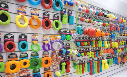 the CAITEC TOYS - Caitec Dog Toys, Squeaking Bouncing Ball, Durable Floatable Springy Pet Toys, Squeaky Ball, Bite Resistant