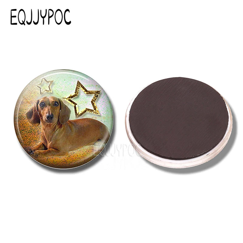 Yellow Brown Dachshund 30MM Fridge Magnet Handmade Weiner Dog Glass DomeRefrigerator Magnets Sticker Cute Animals Kitchen Decor