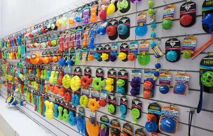 the SQUEAK BALL - CAITEC Dog Toys Squeaking Bouncing Ball