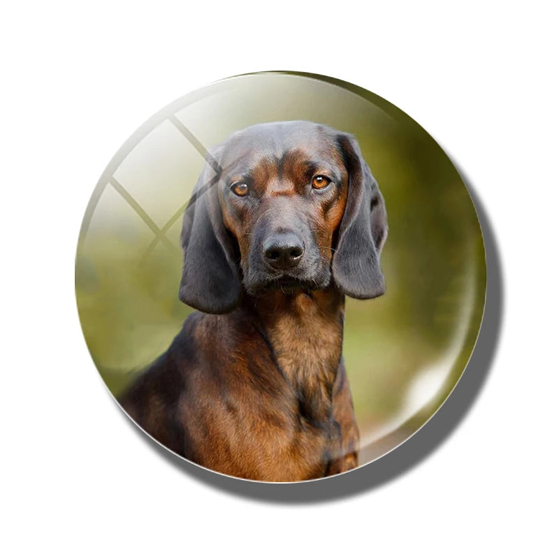 Yellow Brown Dachshund 30MM Fridge Magnet Handmade Weiner Dog Glass DomeRefrigerator Magnets Sticker Cute Animals Kitchen Decor