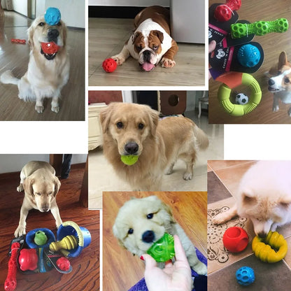 the CAITEC TOYS - Caitec Dog Toys, Squeaking Bouncing Ball, Durable Floatable Springy Pet Toys, Squeaky Ball, Bite Resistant