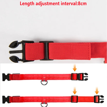 the LUXEGLOW LED SAFTERY COLLAR - USB Charging Glowing Dog Collar with Pendant, Detachable Luxury LED Light, Bright for Small Dogs/Cats, Night Safety Collar