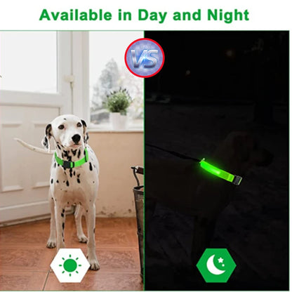 the LUXEGLOW LED SAFTERY COLLAR - USB Charging Glowing Dog Collar with Pendant, Detachable Luxury LED Light, Bright for Small Dogs/Cats, Night Safety Collar