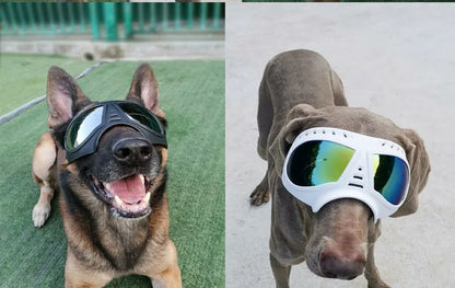 Cool Dog Sun Glasses UV Protection Windproof Goggles Pet Eye Wear Dog Swimming Skating Glasses Pet Accessories