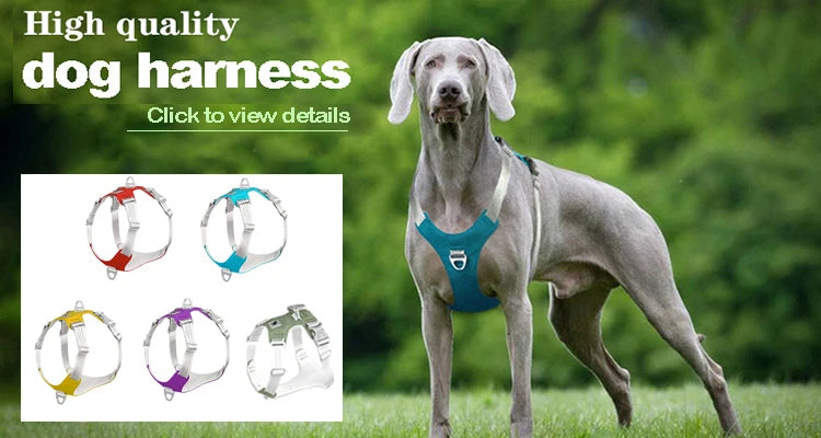 Cool Dog Sun Glasses UV Protection Windproof Goggles Pet Eye Wear Dog Swimming Skating Glasses Pet Accessories