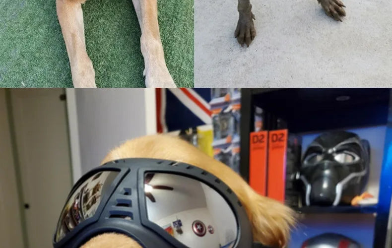 Cool Dog Sun Glasses UV Protection Windproof Goggles Pet Eye Wear Dog Swimming Skating Glasses Pet Accessories