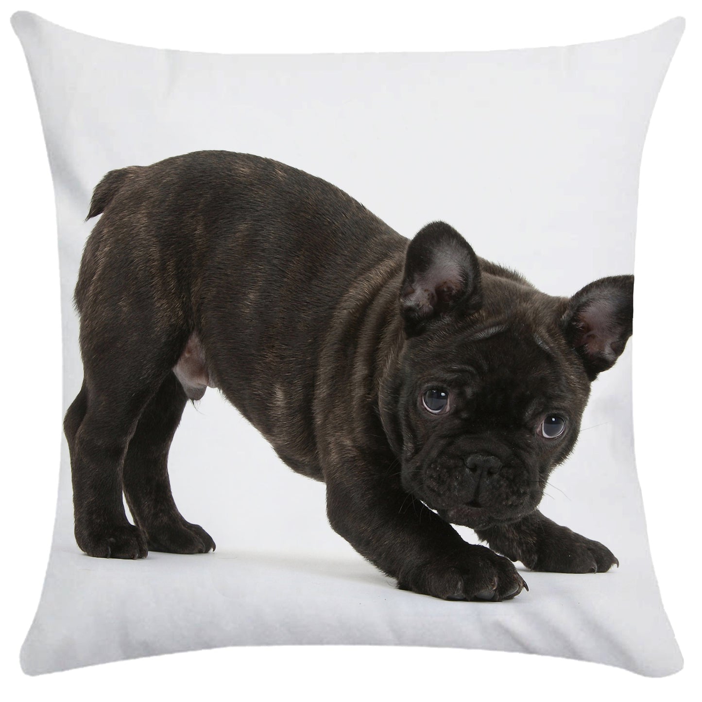 French Bulldog Dog Cushion Covers Dog Painting Pillowcase Decorative Pillow Covers Bedroom Sofa Home Decoration 45X45cm Car Seat