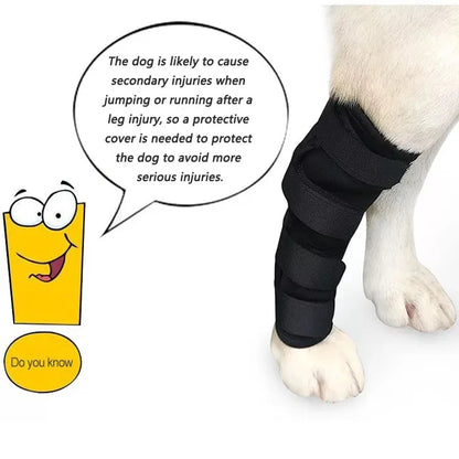 the PAWFLEX INJURY BRACE - Pet Dog Bandages, Dog Injury Leg/Knee Brace, Strap Protection for Dogs Joint, Bandage Wrap, Doggy Medical Supplies, Dogs Accessories