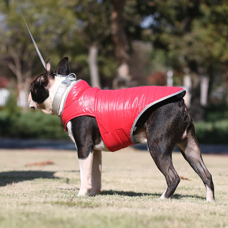 Winter Reversible Dog Light Down Jacket for Small Medium Dogs Pets Clothes Waterproof  French Bulldog Coat Mascotas abrigo perro