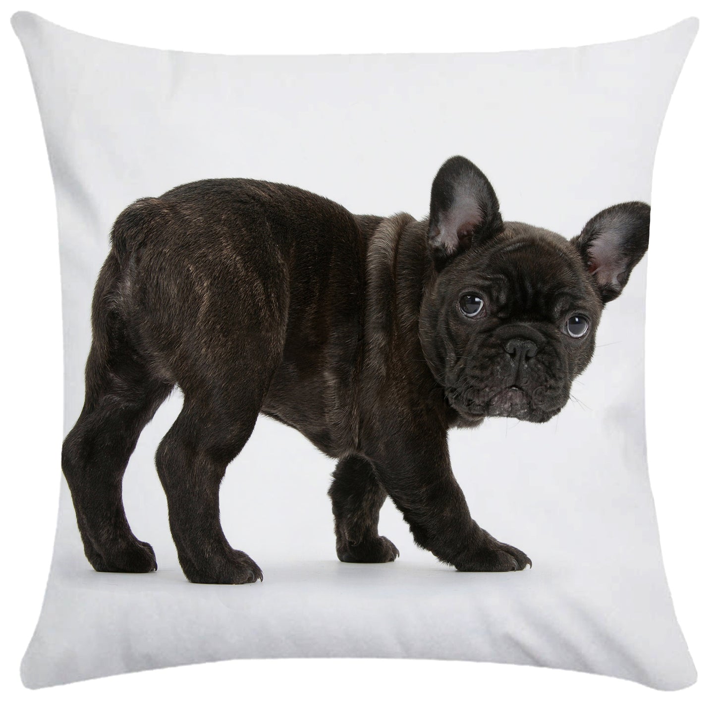 French Bulldog Dog Cushion Covers Dog Painting Pillowcase Decorative Pillow Covers Bedroom Sofa Home Decoration 45X45cm Car Seat
